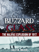 Blizzard_of_glass